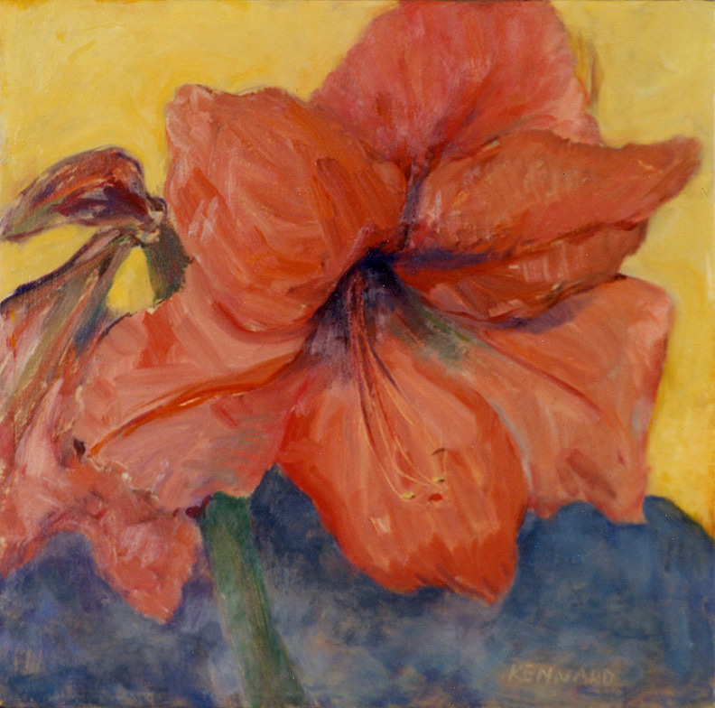 Coral Amaryllis on Yellow and Blue