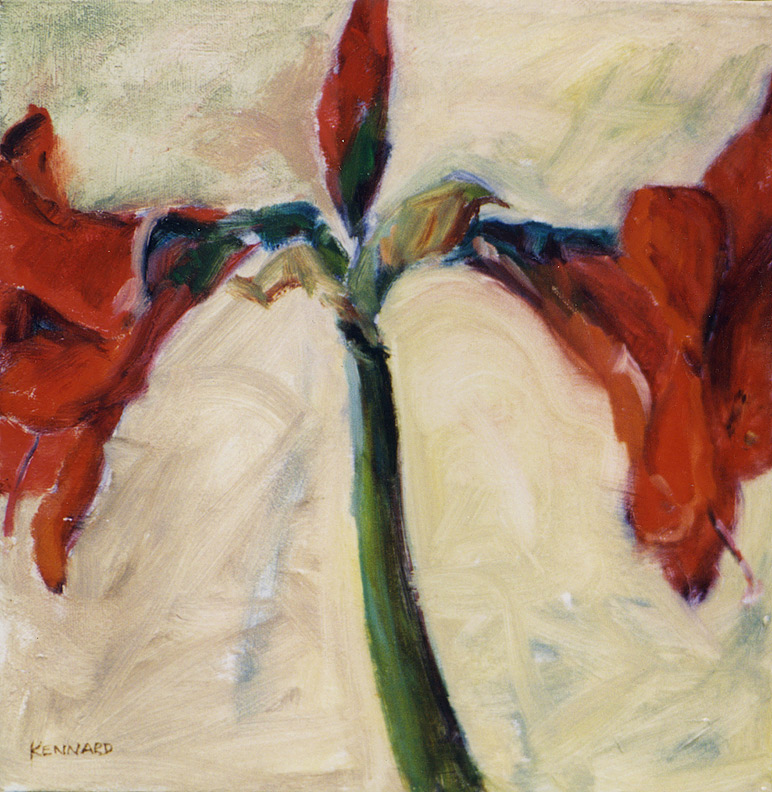 Red Amaryllis I